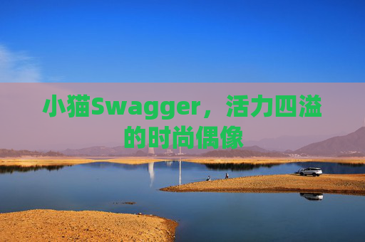 小猫Swagger,活力四溢的时尚偶像 小猫Swagger,活力四溢的时尚偶像