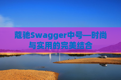蔻驰Swagger中号—时尚与实用的完美结合