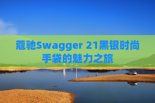蔻驰Swagger 21黑银时尚手袋的魅力之旅