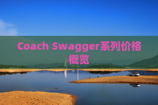 Coach Swagger系列价格概览
